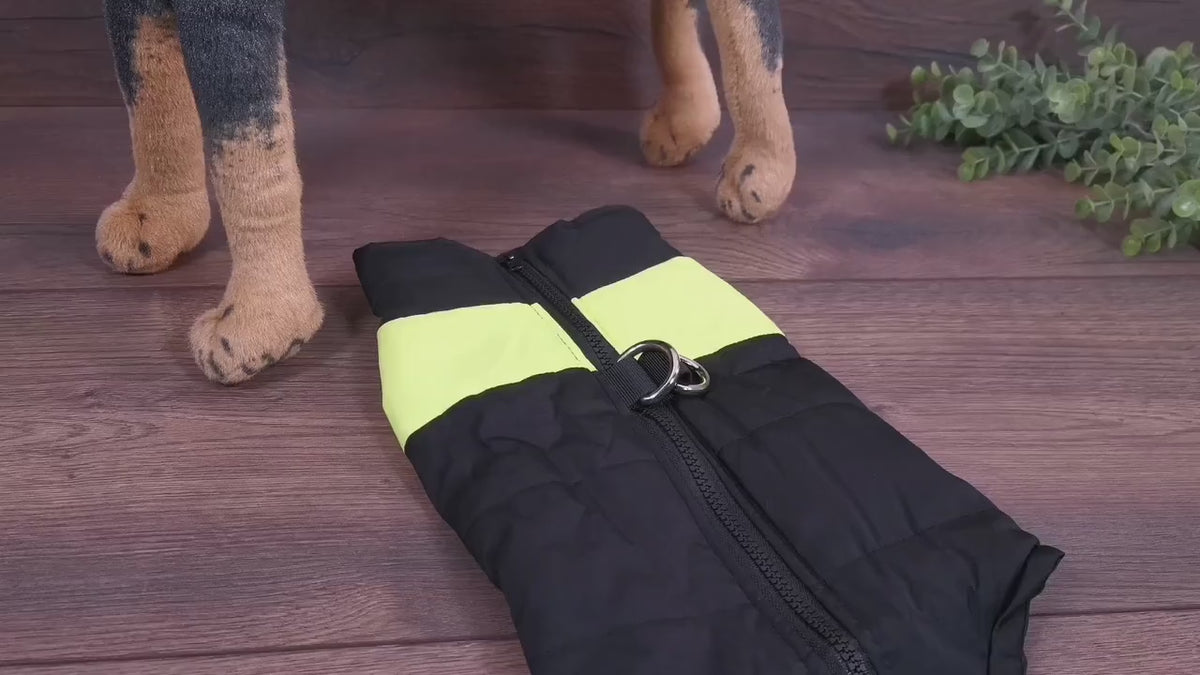 Hundemantel mit Bauchschutz, wasserabweisend und individuell bestickt - Schwarz/Blau