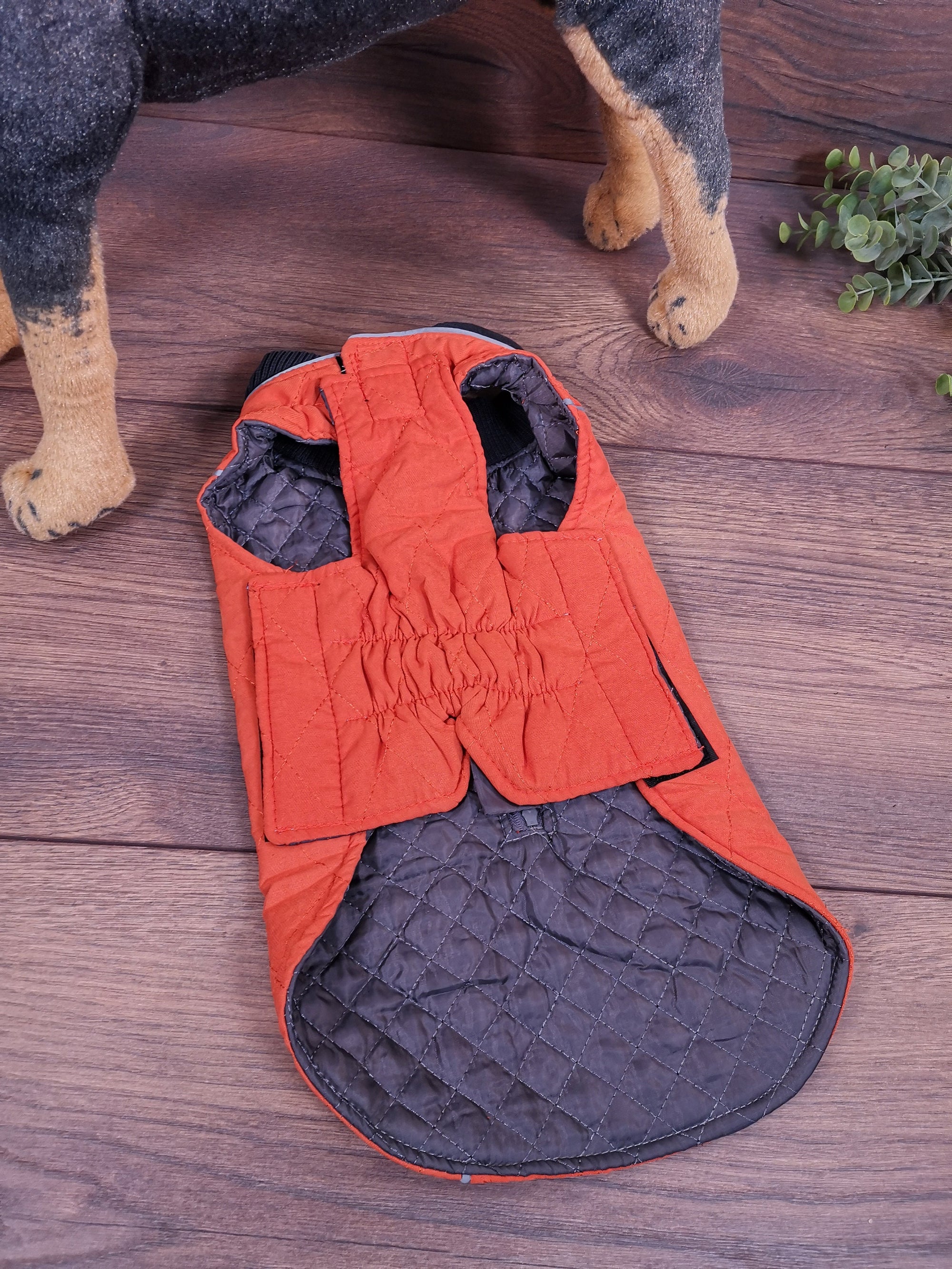 Hundmantel Orange mit Namen, Hundemantel personalisiert, Hundemantel für Geschirr, Hundemantel für den Winter, Hundemantel mit Bauchschutz