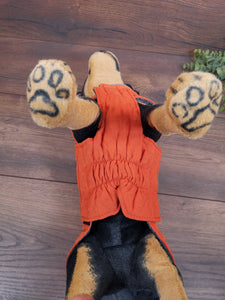 Hundmantel Orange mit Namen, Hundemantel personalisiert, Hundemantel für Geschirr, Hundemantel für den Winter, Hundemantel mit Bauchschutz